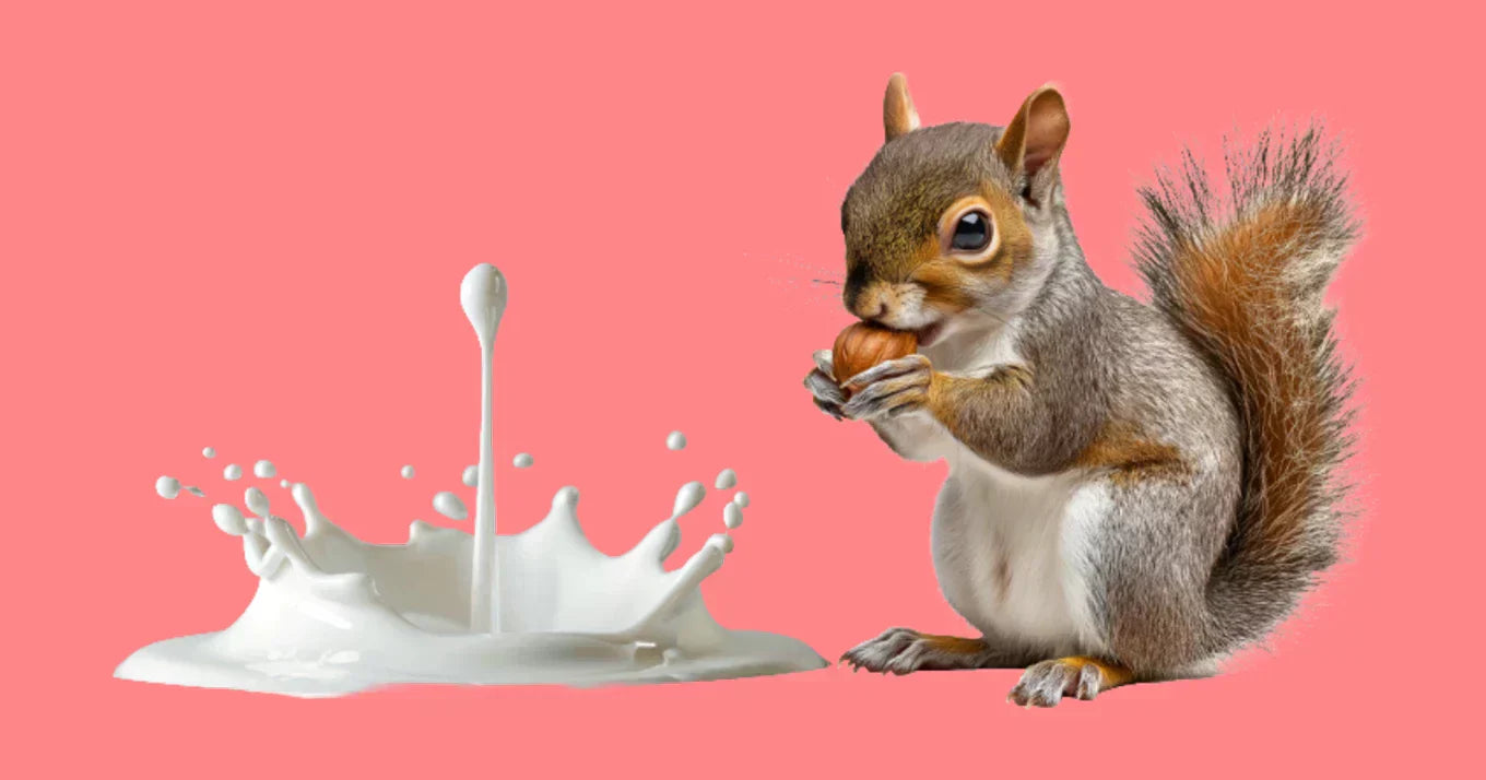 post nut clarity guide