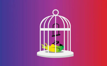 Condom Conundrum Guide to Safe Sex and Pleasure