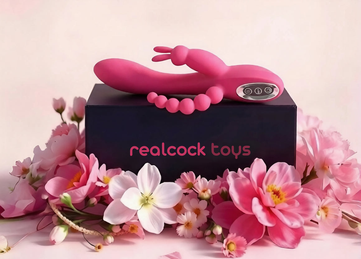 Find the perfect companion for every night