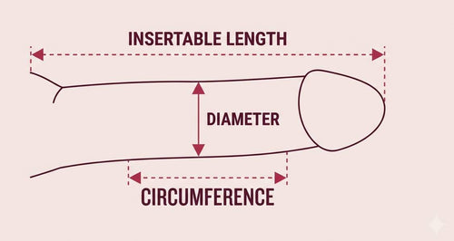 Illustration comparing common dildo sizes from Mini to Super-Size