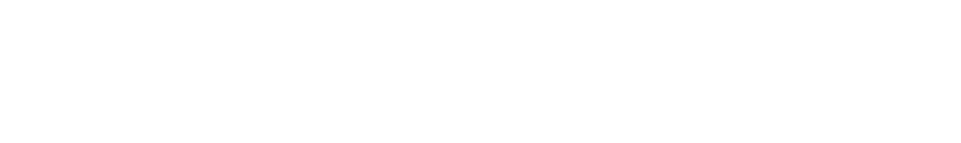RealCock Toys
