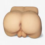 BOTTOMS-UP “MALE”