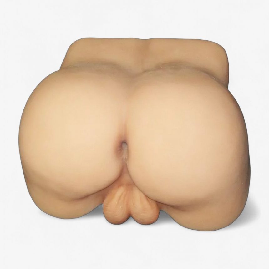 BOTTOMS-UP “MALE”