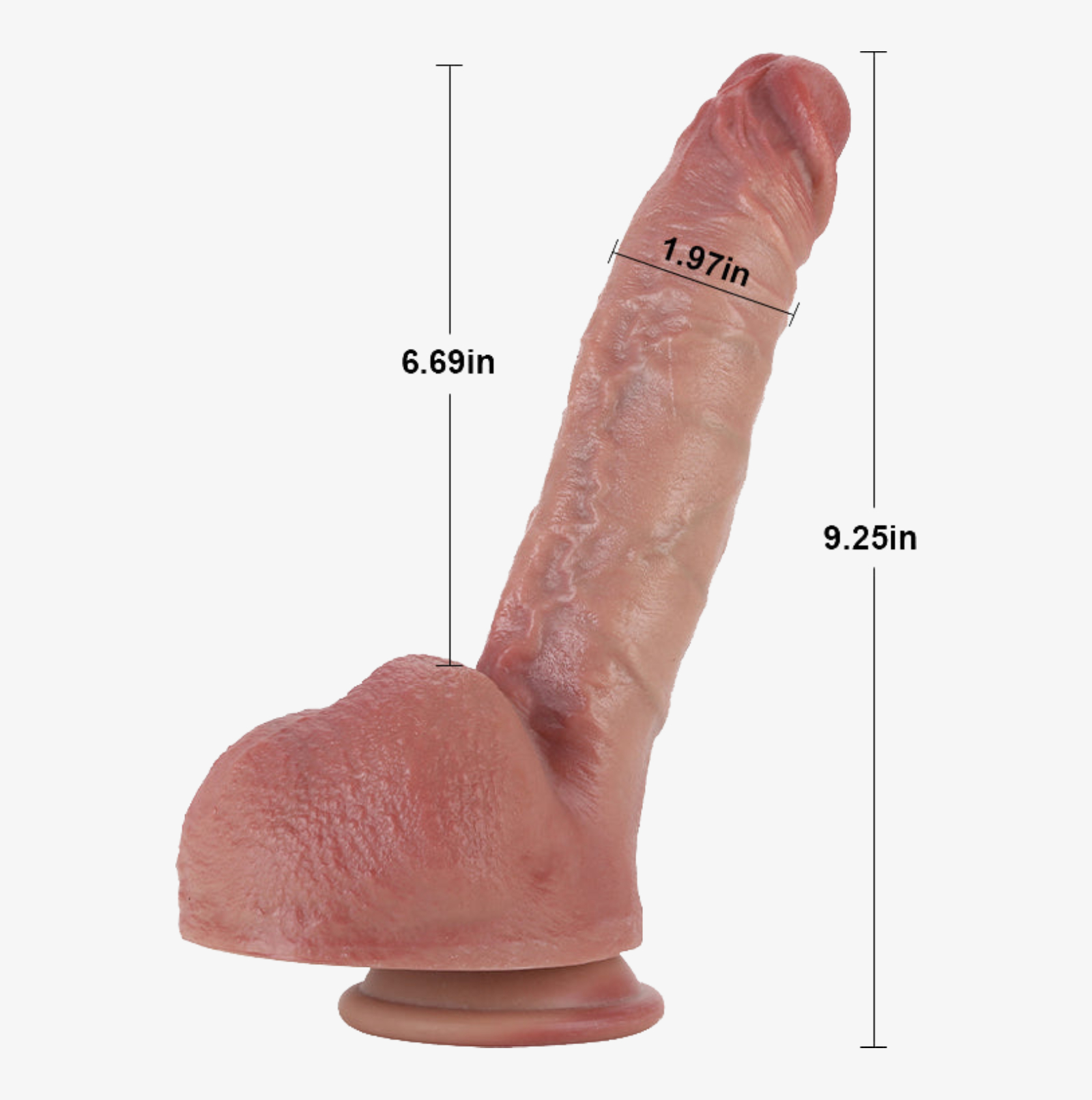 realcock logan size